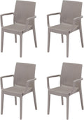 HOUSE COLLECTION Sedia, Tortora, rattan, polipropilene, con braccioli